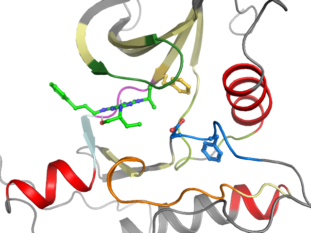 The orthosteric binding pocket