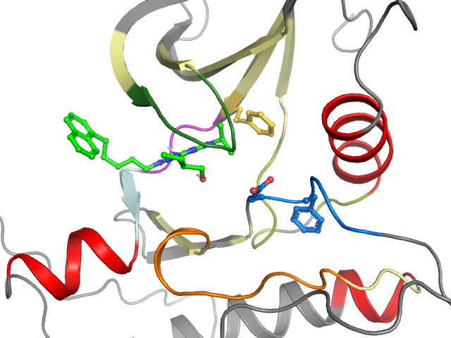 The orthosteric binding pocket