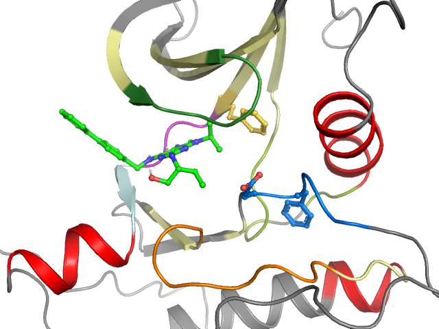 The orthosteric binding pocket