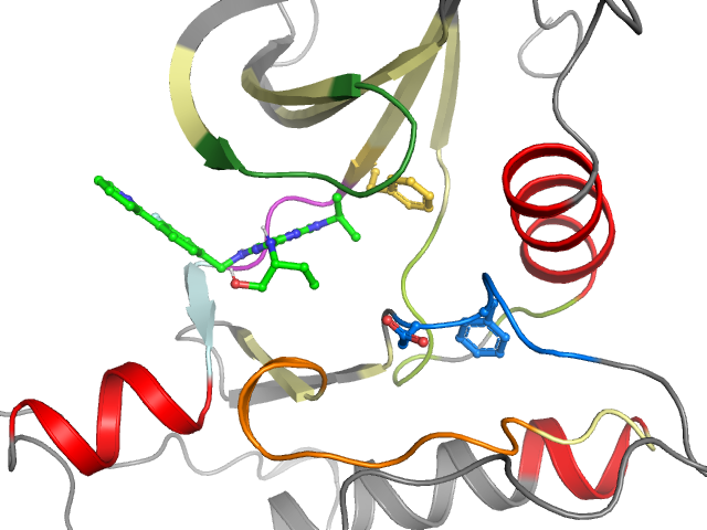 The orthosteric binding pocket