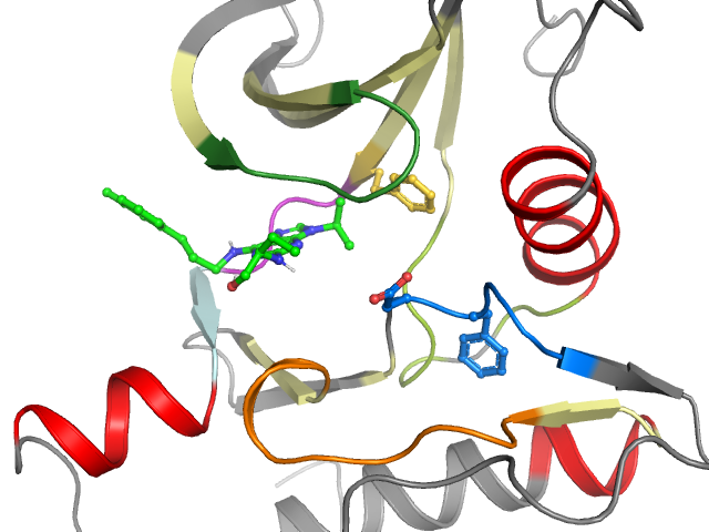 The orthosteric binding pocket