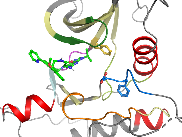 The orthosteric binding pocket