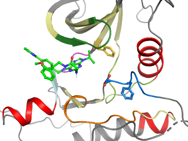 The orthosteric binding pocket