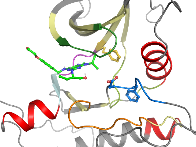 The orthosteric binding pocket