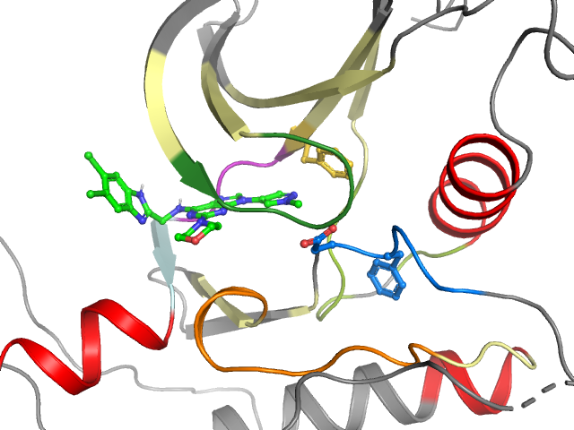 The orthosteric binding pocket