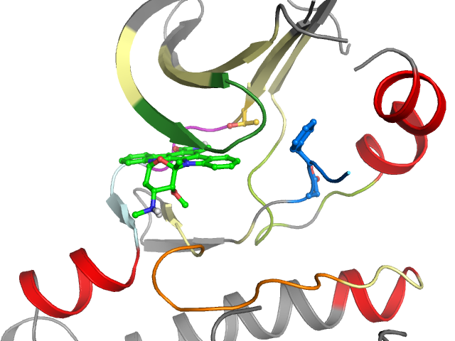 The orthosteric binding pocket