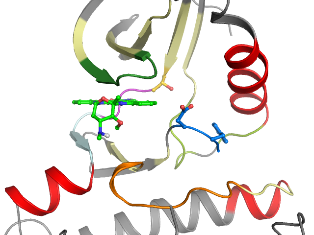 The orthosteric binding pocket