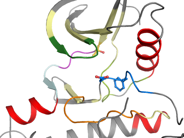 The orthosteric binding pocket