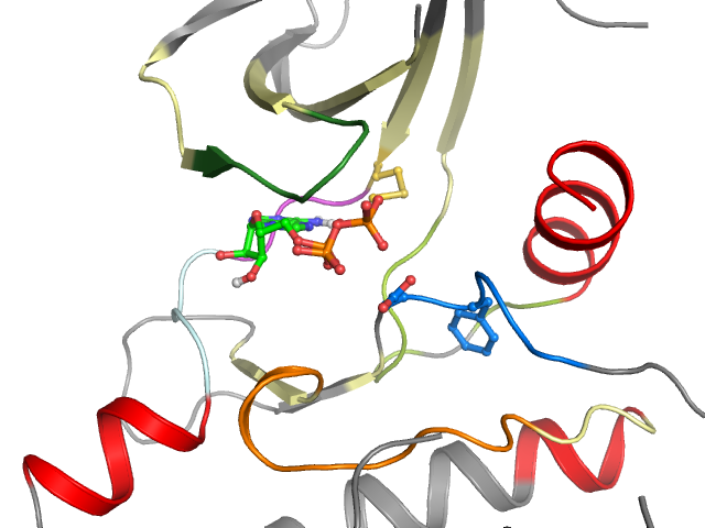 The orthosteric binding pocket
