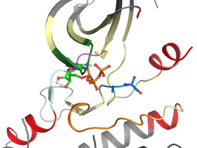 The orthosteric binding pocket