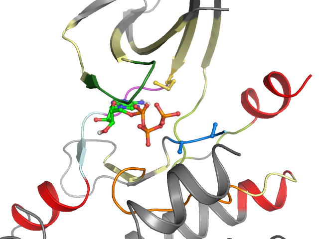 The orthosteric binding pocket