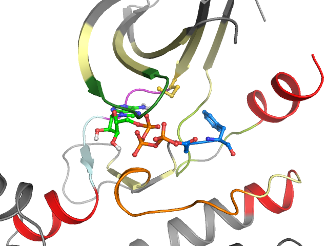 The orthosteric binding pocket