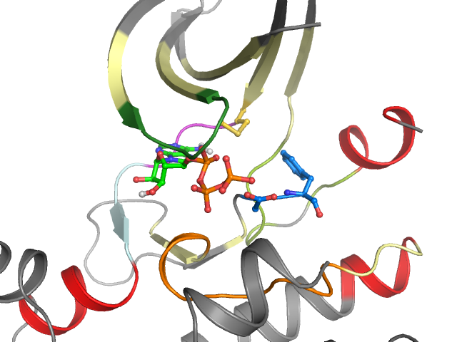 The orthosteric binding pocket