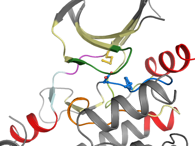 The orthosteric binding pocket