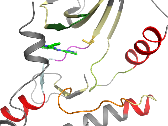 The orthosteric binding pocket