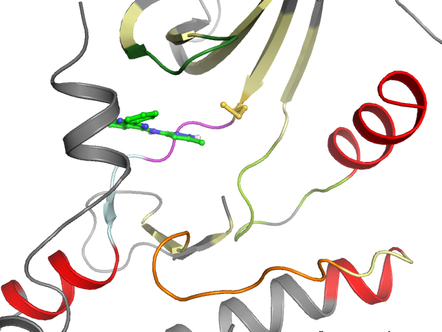 The orthosteric binding pocket