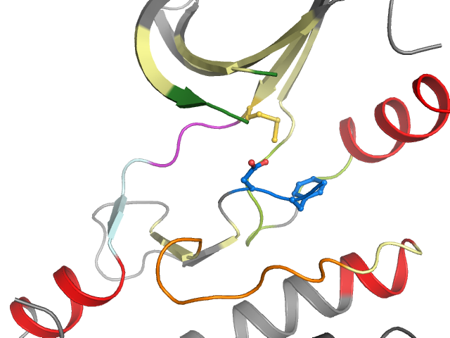 The orthosteric binding pocket