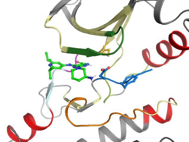 The orthosteric binding pocket