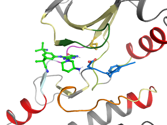 The orthosteric binding pocket
