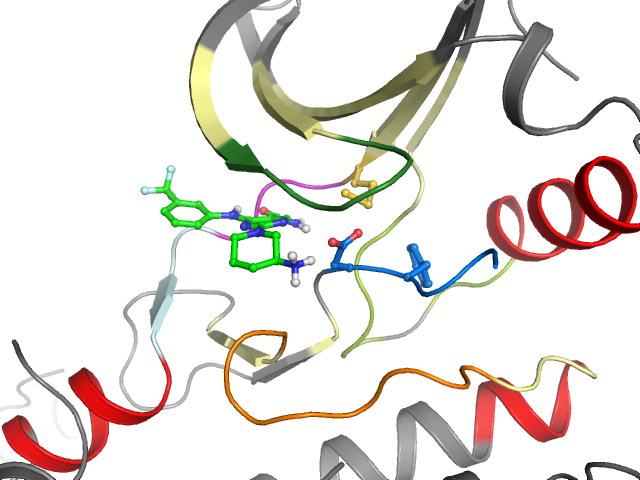 The orthosteric binding pocket