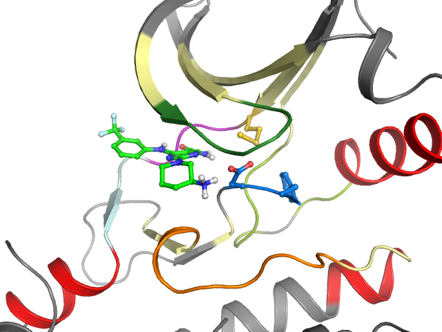 The orthosteric binding pocket