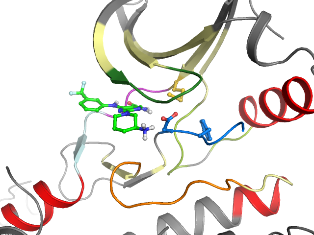 The orthosteric binding pocket