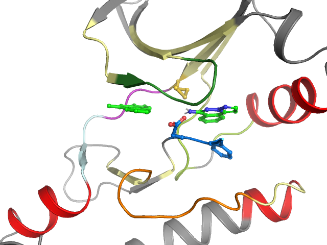 The orthosteric binding pocket