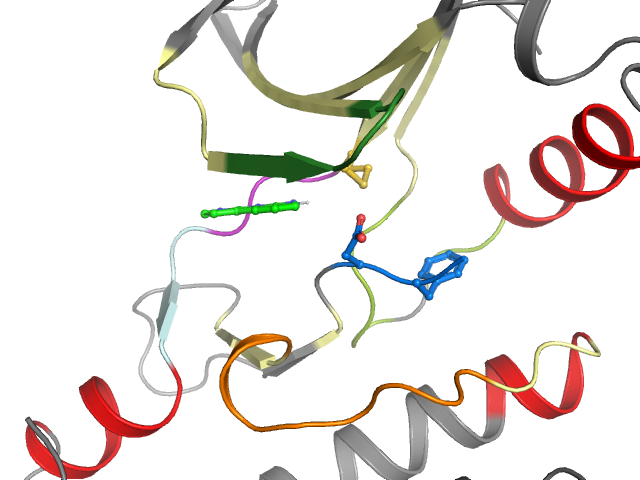 The orthosteric binding pocket
