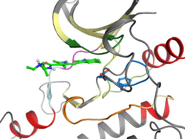 The orthosteric binding pocket