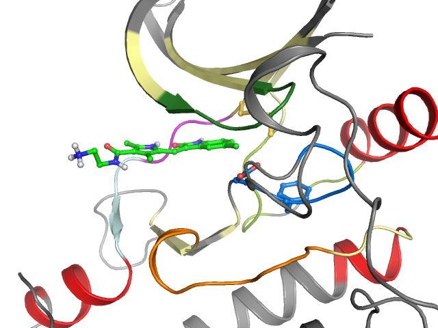 The orthosteric binding pocket