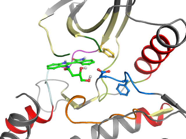 The orthosteric binding pocket
