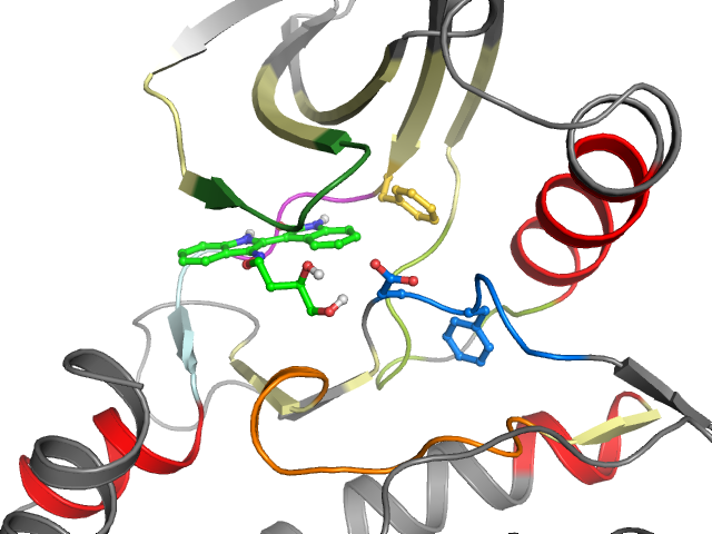 The orthosteric binding pocket