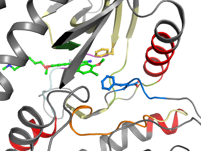 The orthosteric binding pocket