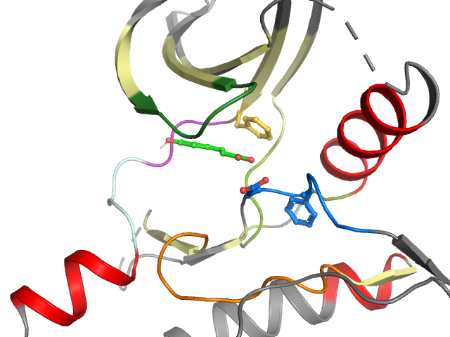 The orthosteric binding pocket