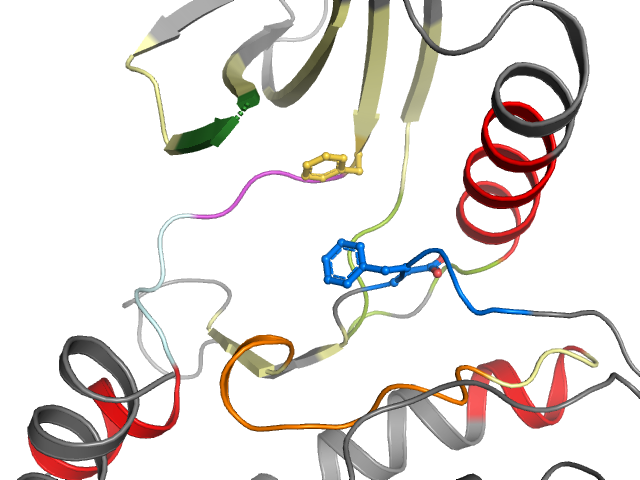 The orthosteric binding pocket