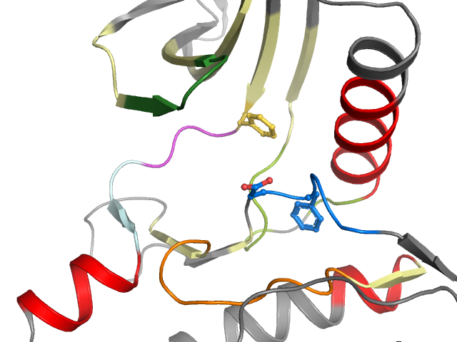 The orthosteric binding pocket