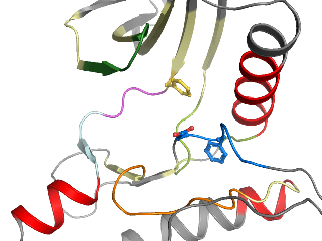 The orthosteric binding pocket