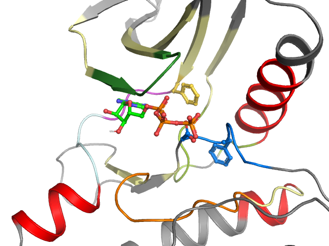 The orthosteric binding pocket