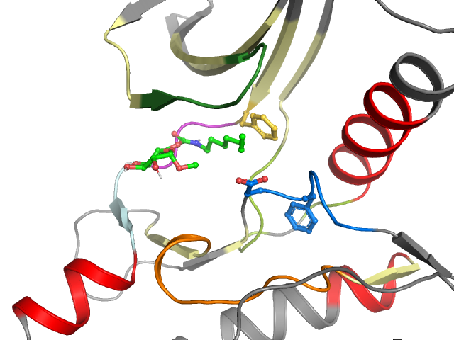 The orthosteric binding pocket