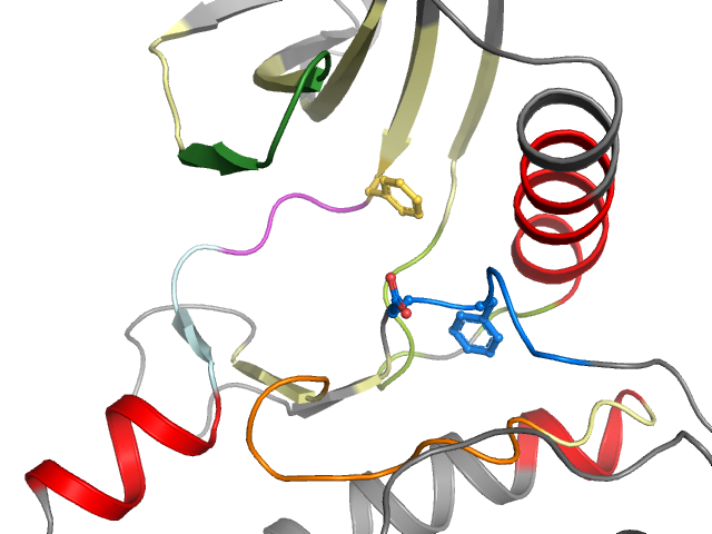 The orthosteric binding pocket