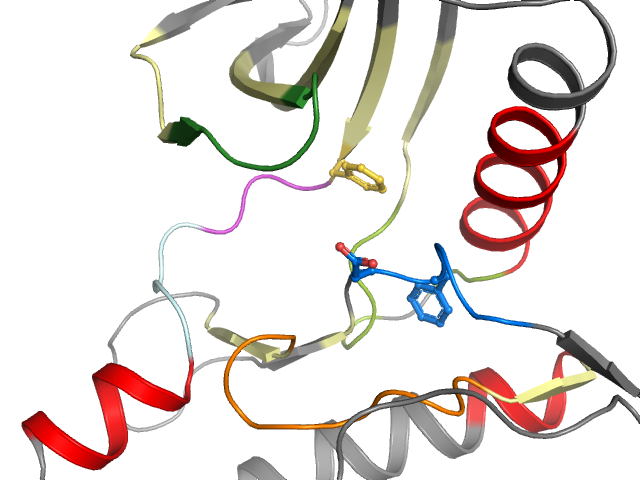 The orthosteric binding pocket