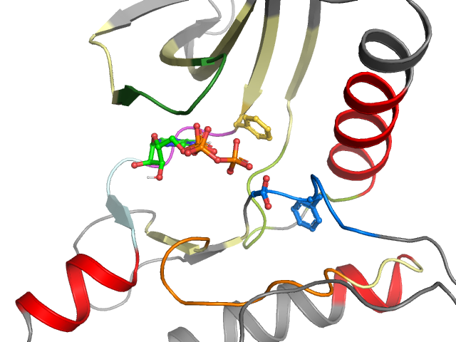 The orthosteric binding pocket