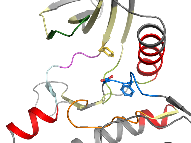 The orthosteric binding pocket