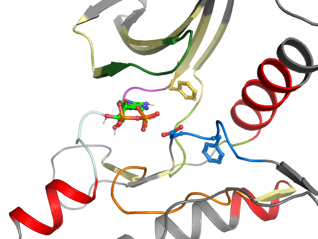 The orthosteric binding pocket