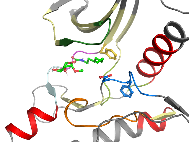 The orthosteric binding pocket