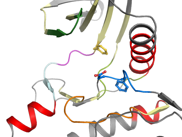 The orthosteric binding pocket