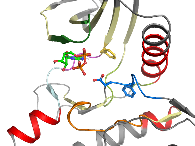 The orthosteric binding pocket
