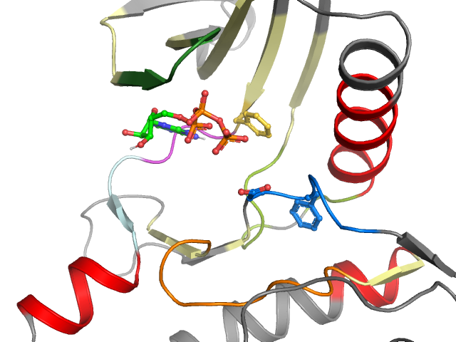 The orthosteric binding pocket