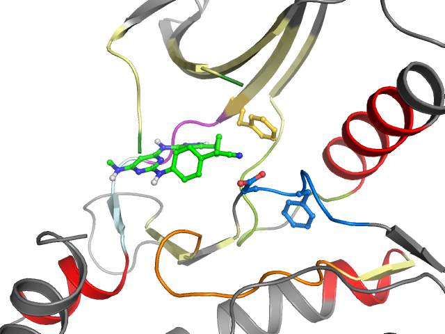 The orthosteric binding pocket