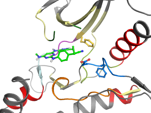 The orthosteric binding pocket